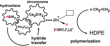 Graphical abstract: Hydrosilane-B(C6F5)3 adducts as activators in zirconocene catalyzed ethylene polymerization