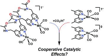 Graphical abstract: Interrogating heterobimetallic co-catalytic responses for the electrocatalytic reduction of CO2 using supramolecular assembly