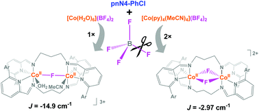 Graphical abstract: Substituent effects of N4 Schiff base ligands on the formation of fluoride-bridged dicobalt(ii) complexes via B–F abstraction: structures and magnetism