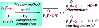 Graphical abstract: Iron-catalyzed clean dehydrogenative coupling of alcohols with P(O)–H compounds: a new protocol for ROH phosphorylation