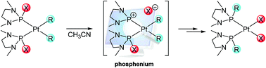 Graphical abstract: R/X exchange reactions in cis-[M(R)2{P(X)(NMeCH2)2}2] (M = Pd, Pt), via a phosphenium intermediate