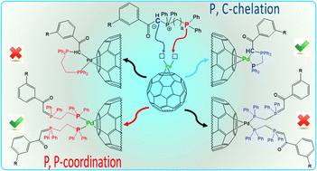 Graphical abstract: P,C-Chelation versus P,P-coordination of unsymmetrical phosphorus ylides in palladacyclopropa[60]fullerene complexes; synthetic, spectroscopic, and theoretical studies
