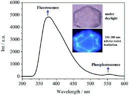 Graphical abstract: Simultaneous observation of ligand-based fluorescence and phosphorescence within a magnesium-based CP/MOF at room temperature