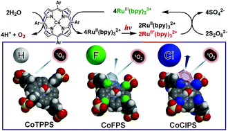 Graphical abstract: Improving the robustness of cobalt porphyrin water oxidation catalysts by chlorination of aryl groups