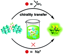 Graphical abstract: Counterion-dominating chirality transfer between chiral and achiral polyoxometalates