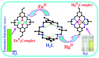 Graphical abstract: Syntheses, crystal structures and steady state and time-resolved fluorescence properties of a PET based macrocycle and its dinuclear ZnII/CdII/HgII complexes