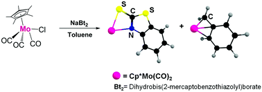 Graphical abstract: Reactivity of cyclopentadienyl transition metal(ii) complexes with borate ligands: structural characterization of the toluene-activated molybdenum complex [Cp*Mo(CO)2(η3-CH2C6H5)]