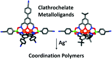 Graphical abstract: Dinuclear clathrochelate complexes with pendent cyano groups as metalloligands
