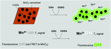 Graphical abstract: Green synthesis of multimodal ‘OFF–ON’ activatable MRI/optical probes