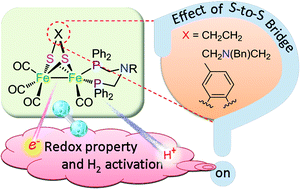 Graphical abstract: Effect of the S-to-S bridge on the redox properties and H2 activation performance of diiron complexes related to the [FeFe]-hydrogenase active site