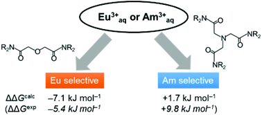 Graphical abstract: The separation mechanism of Am(iii) from Eu(iii) by diglycolamide and nitrilotriacetamide extraction reagents using DFT calculations