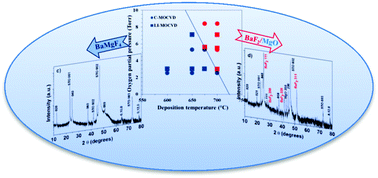 Graphical abstract: The quest towards epitaxial BaMgF4 thin films: exploring MOCVD as a chemical scalable approach for the deposition of complex metal fluoride films