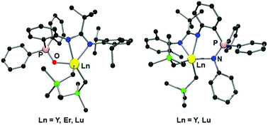 Graphical abstract: Bis(alkyl) rare-earth complexes coordinated by bulky tridentate amidinate ligands bearing pendant Ph2P [[double bond, length as m-dash]] O and Ph2P [[double bond, length as m-dash]] NR groups. Synthesis, structures and catalytic activity in stereospecific isoprene polymerization