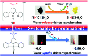 Graphical abstract: Proton-switchable vapochromic behaviour of a platinum(ii)–carboxy-terpyridine complex