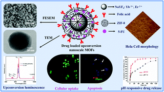 Graphical abstract: One-pot synthesis of folic acid encapsulated upconversion nanoscale metal organic frameworks for targeting, imaging and pH responsive drug release