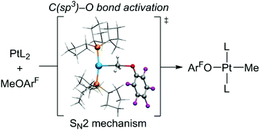 Graphical abstract: Platinum(0)-mediated C–O bond activation of ethers via an SN2 mechanism