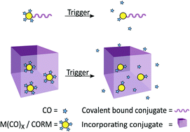 Graphical abstract: CO-releasing molecule (CORM) conjugate systems
