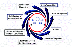 Graphical abstract: The wonderful world of pyridine-2,6-dicarboxamide based scaffolds