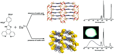 Graphical abstract: A highly stable and white-light-emitting Eu(iii) MOF