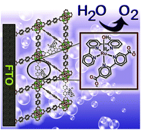 Graphical abstract: Electrocatalytic water oxidation by a molecular catalyst incorporated into a metal–organic framework thin film