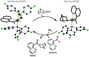 Graphical abstract: A pentacoordinated norbornenyl-acyl-rhodium(iii) complex as a likely intermediate in the catalytic hydroacylation of norbornadiene