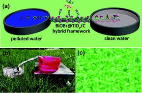 Graphical abstract: BiOBr nanoplates@TiO2 nanowires/carbon fiber cloth as a functional water transport network for continuous flow water purification