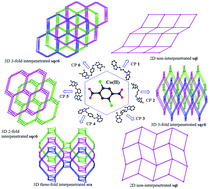 Graphical abstract: Construction of noninterpenetrating and interpenetrating Co(ii) networks with halogenated carboxylate modulated by auxiliary N-donor co-ligands: structural diversity, electrochemical and photocatalytic properties