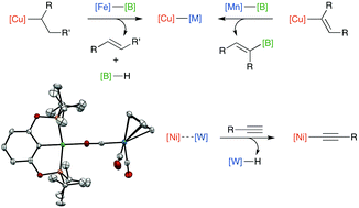 Graphical abstract: Fundamental organometallic chemistry under bimetallic influence: driving β-hydride elimination and diverting migratory insertion at Cu and Ni