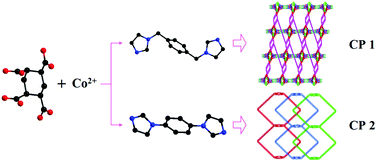 Graphical abstract: Rigid versus semi-rigid bis(imidazole) ligands in the assembly of two Co(ii) coordination polymers: structural variability, electrochemical properties and photocatalytic behavior
