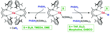 Graphical abstract: β-Diketiminate calcium hydride complexes: the importance of solvent effects