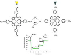 Graphical abstract: Chemically reversible binding of H2S to a zinc porphyrin complex: towards implementation of a reversible sensor via a “coordinative-based approach”