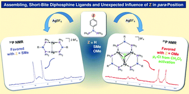 Graphical abstract: Mono- and polynuclear Ag(i) complexes of N-functionalized bis(diphenylphosphino)amine DPPA-type ligands: synthesis, solid-state structures and reactivity