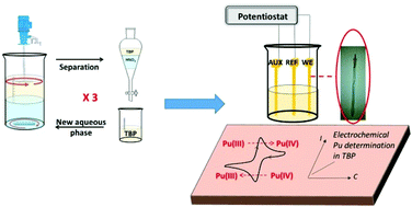 Graphical abstract: Electrochemical characterization of plutonium in n-tributyl phosphate