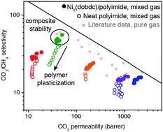 Graphical abstract: Plasticization-resistant Ni2(dobdc)/polyimide composite membranes for the removal of CO2 from natural gas
