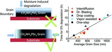 Graphical abstract: Scaling behavior of moisture-induced grain degradation in polycrystalline hybrid perovskite thin films
