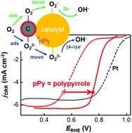 Graphical abstract: Polypyrrole-assisted oxygen electrocatalysis on perovskite oxides