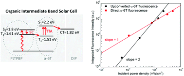 Graphical abstract: Enhanced sub-bandgap efficiency of a solid-state organic intermediate band solar cell using triplet–triplet annihilation