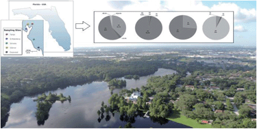Graphical abstract: Evaluation of analytical methodology for the detection of hormones and their attenuation during aquifer recharge and recovery cycles