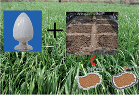 Graphical abstract: Nano-hydroxyapatite alleviates the detrimental effects of heavy metals on plant growth and soil microbes in e-waste-contaminated soil