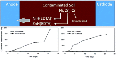 Graphical abstract: Removal of heavy metals from contaminated soil by electrodialytic remediation enhanced with organic acids
