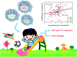 Graphical abstract: Exposure of children to BPA through dust and the association of urinary BPA and triclosan with oxidative stress in Guangzhou, China
