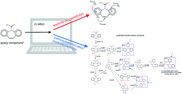 Graphical abstract: A computer-based prediction platform for the reaction of ozone with organic compounds in aqueous solution: kinetics and mechanisms