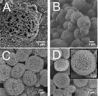 Graphical abstract: Hydrothermally driven three-dimensional evolution of mesoporous hierarchical europium oxide hydrangea microspheres for non-enzymatic sensors of hydrogen peroxide detection
