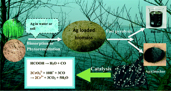 Graphical abstract: One-pot high yield synthesis of Ag nanoparticle-embedded biochar hybrid materials from waste biomass for catalytic Cr(vi) reduction