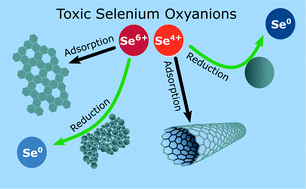 Graphical abstract: Emerging nanomaterials for the application of selenium removal for wastewater treatment