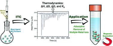 Graphical abstract: Isothermal titration microcalorimetry to determine the thermodynamics of metal ion removal by magnetic nanoparticle sorbents