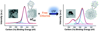 Graphical abstract: Photoenhanced oxidation of C60 aggregates (nC60) by free chlorine in water