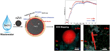 Graphical abstract: Genesis of pure Se(0) nano- and micro-structures in wastewater with nanoscale zero-valent iron (nZVI)