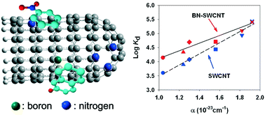 Graphical abstract: Enhanced adsorption of aromatic chemicals on boron and nitrogen co-doped single-walled carbon nanotubes