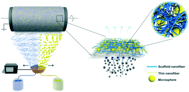 Graphical abstract: A low filtration resistance three-dimensional composite membrane fabricated via free surface electrospinning for effective PM2.5 capture